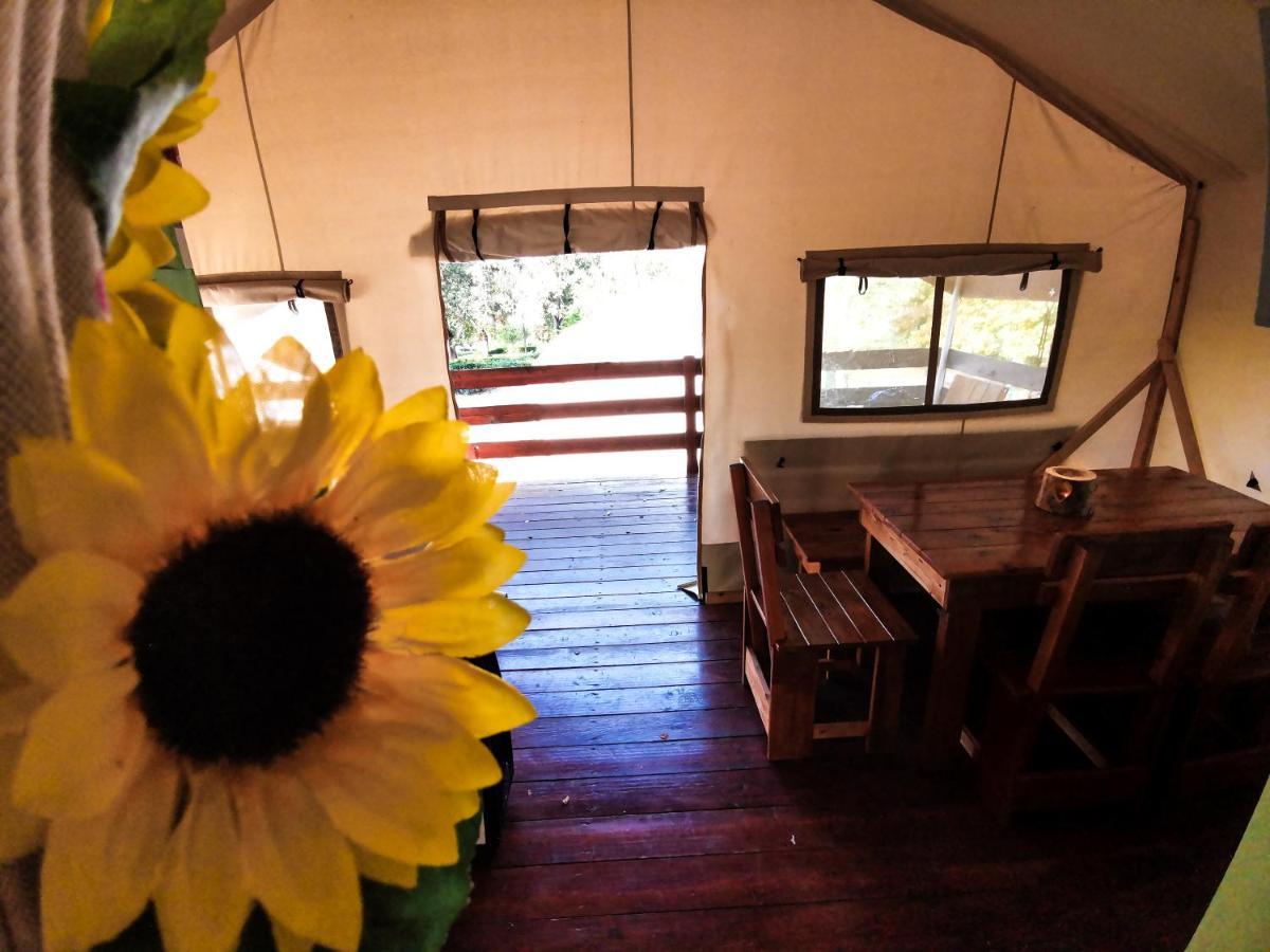 Sunflower Camping Mareda Εξωτερικό φωτογραφία