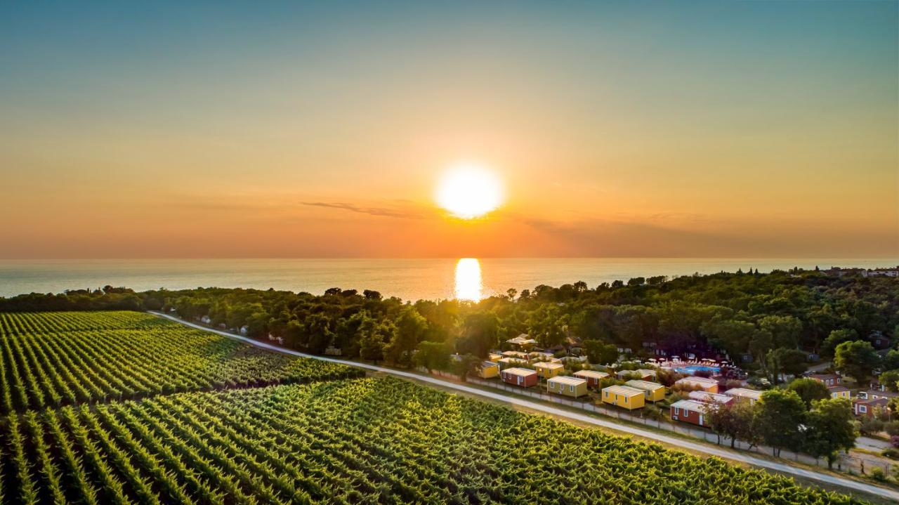 Sunflower Camping Mareda Εξωτερικό φωτογραφία