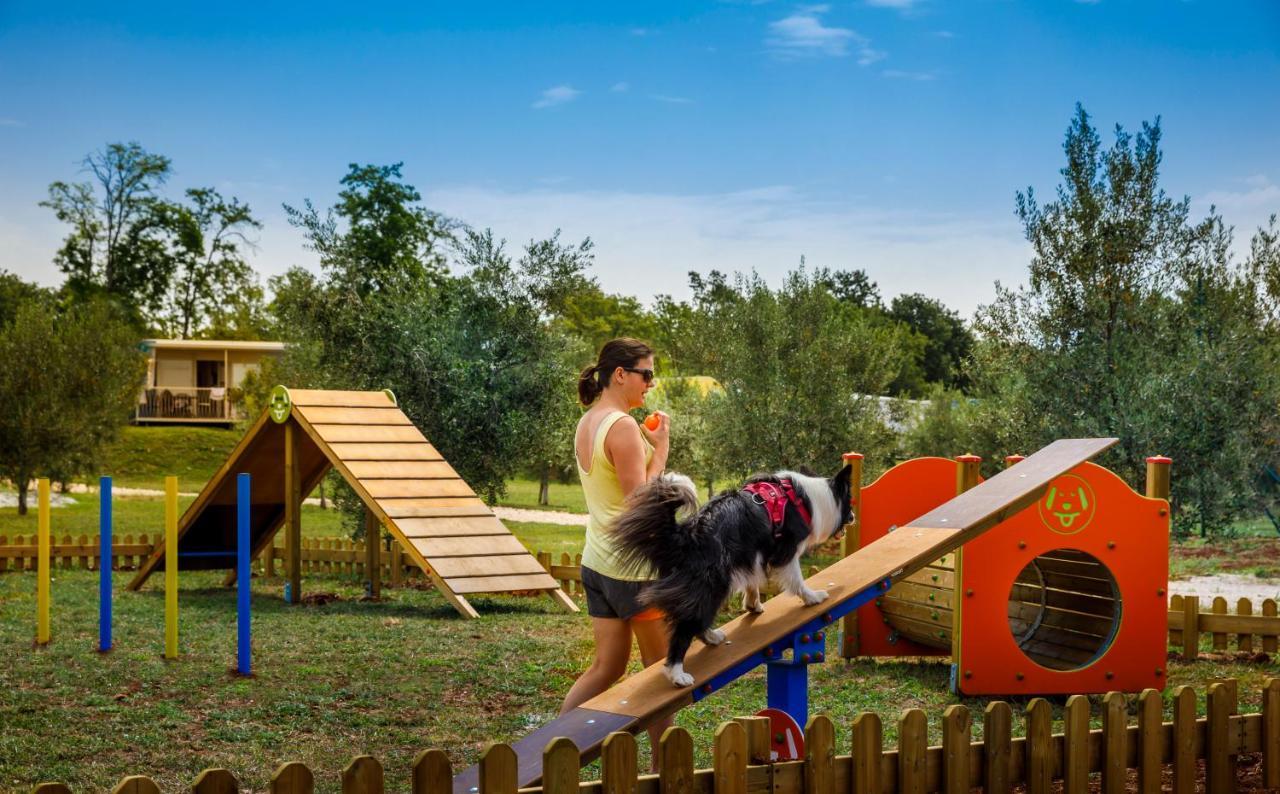 Sunflower Camping Mareda Εξωτερικό φωτογραφία