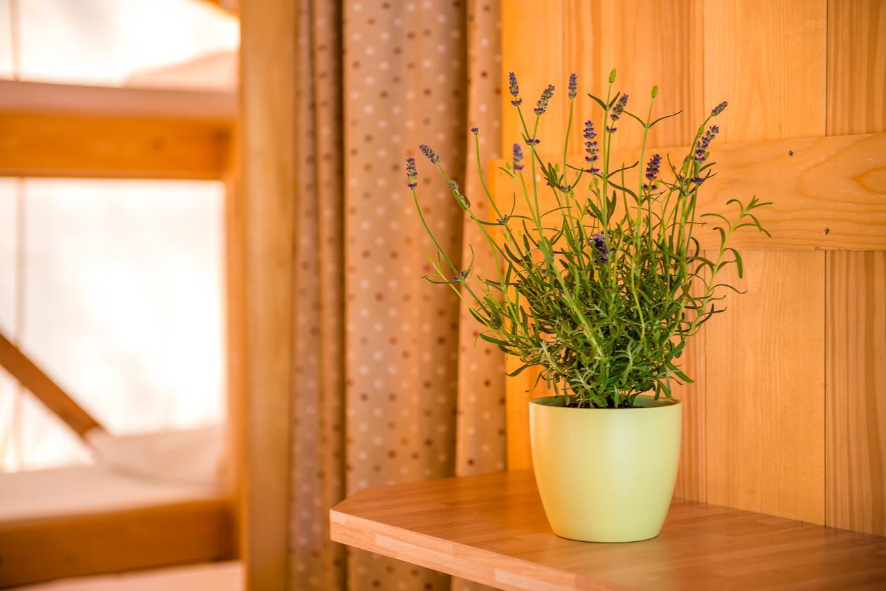 Sunflower Camping Mareda Εξωτερικό φωτογραφία
